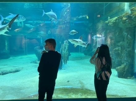 Visite de l'aquarium du Grau du Roi